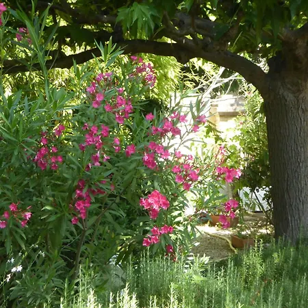 Maison En Provence Holiday home *